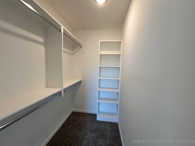 walk in closet featuring dark carpet