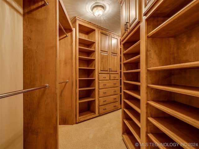 spacious closet with light colored carpet