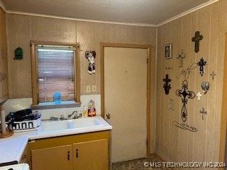 kitchen with sink and crown molding