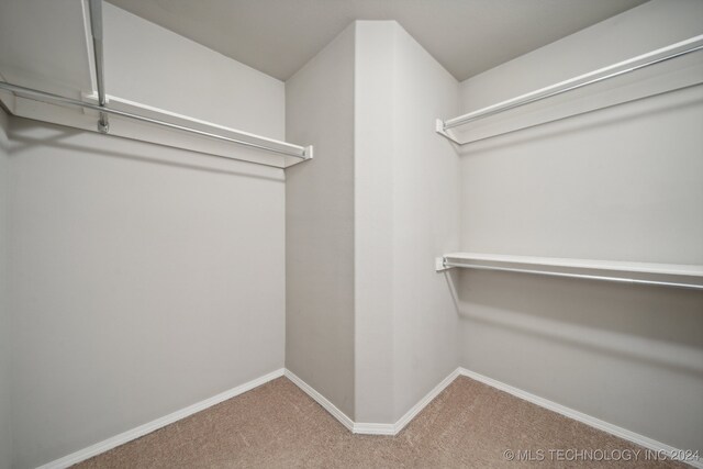 walk in closet featuring carpet floors