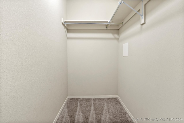 spacious closet featuring carpet flooring