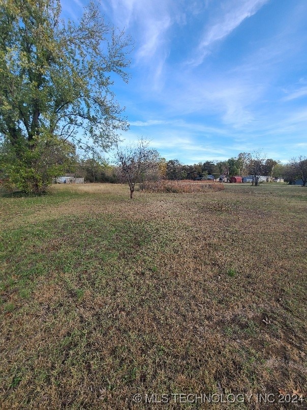 view of yard with a rural view