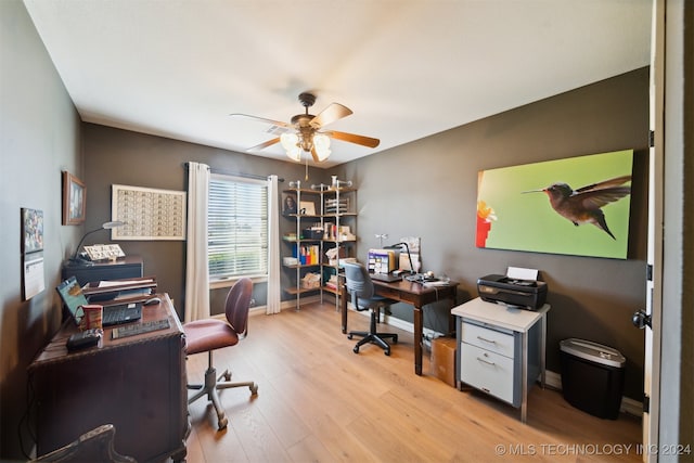 office space with ceiling fan and light hardwood / wood-style flooring