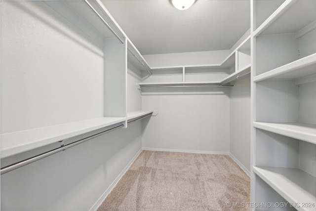 spacious closet with light carpet