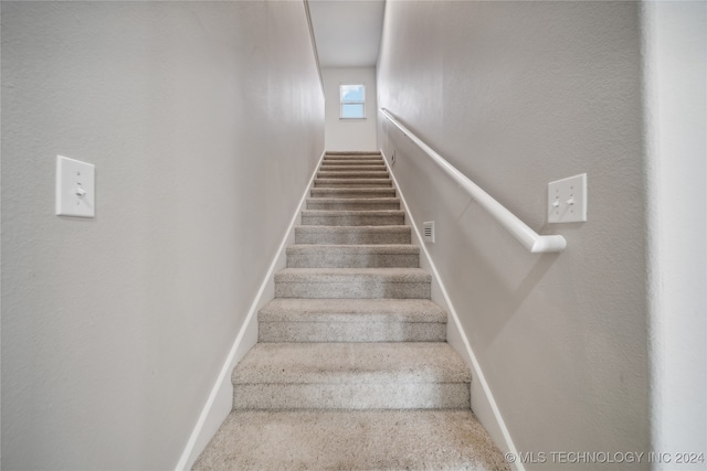 staircase with carpet floors