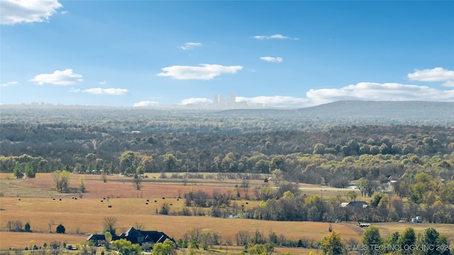 property view of mountains with a rural view