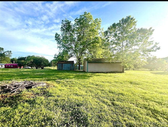 view of yard featuring an outdoor structure