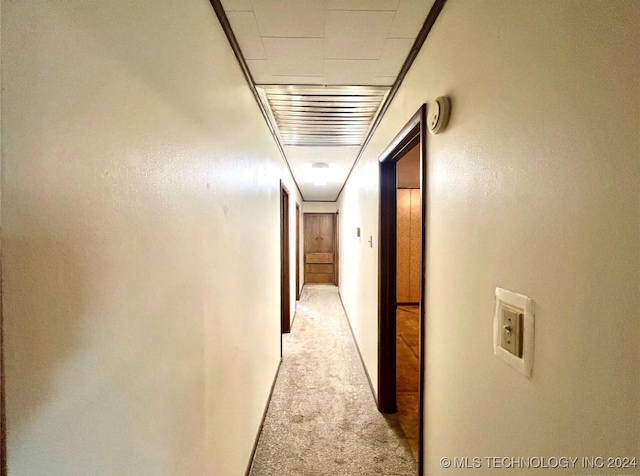 hallway featuring light carpet