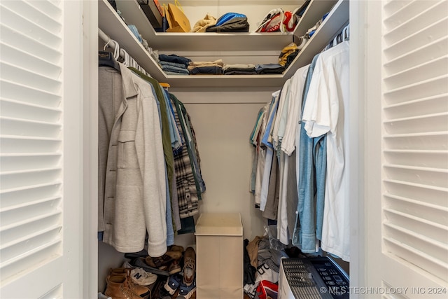 view of spacious closet