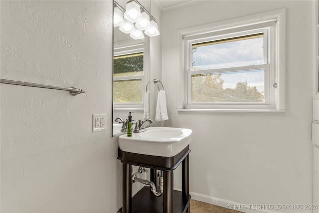 bathroom with plenty of natural light and ornamental molding