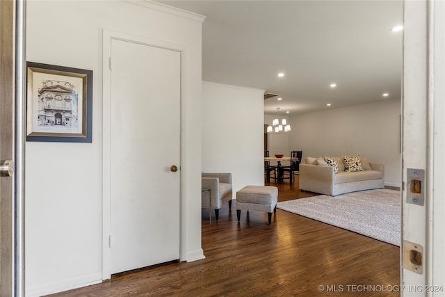 living room featuring ornamental molding, an inviting chandelier, and dark hardwood / wood-style floors