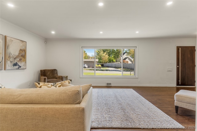 living room featuring dark hardwood / wood-style flooring