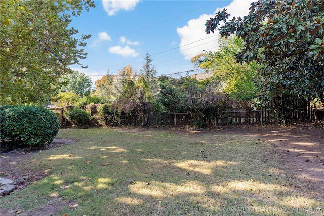 3920 S Utica Ave, Tulsa, OK 74105 - view of yard