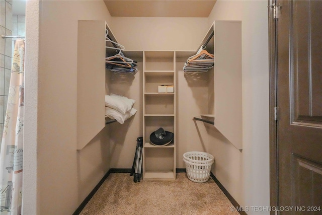 spacious closet featuring light carpet