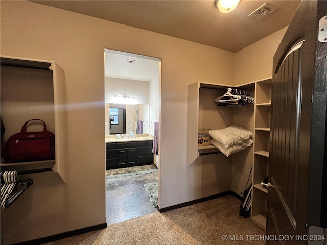 spacious closet featuring carpet floors