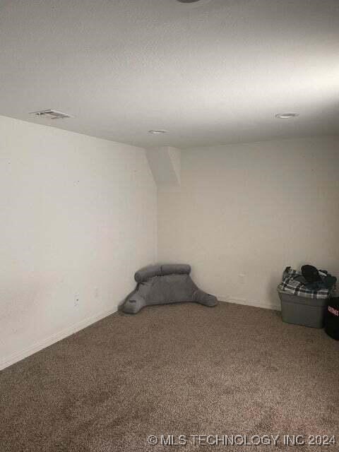 spare room with a textured ceiling and carpet floors