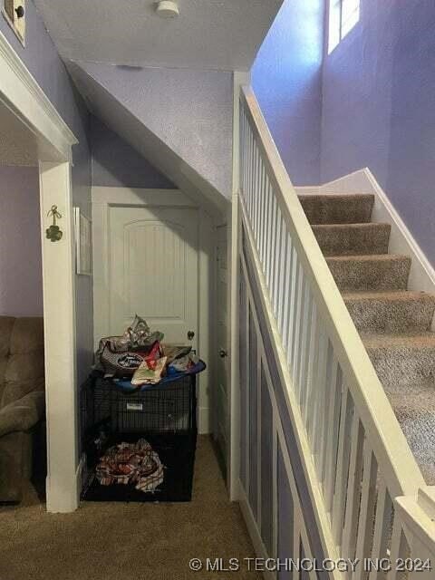 stairs with carpet flooring