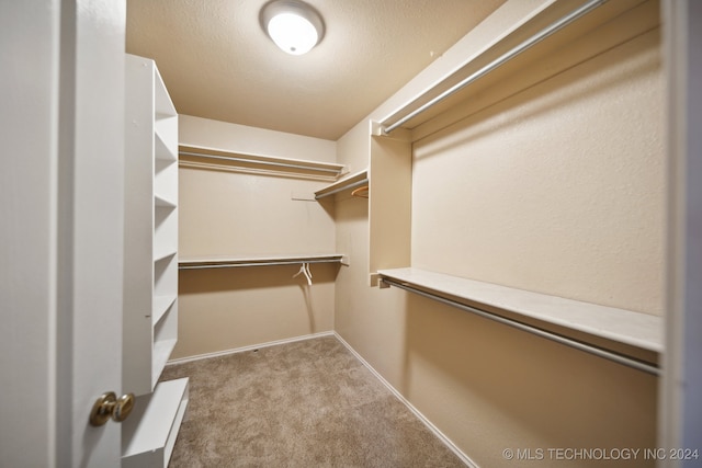 walk in closet with light carpet