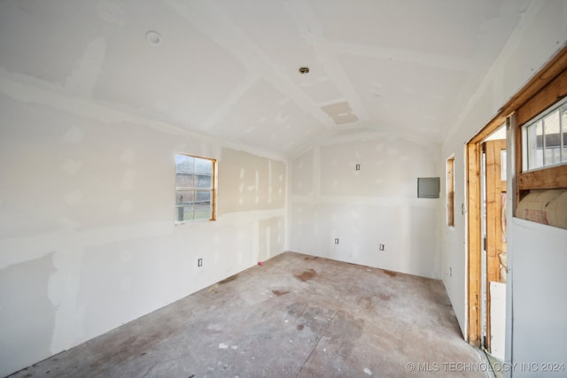 spare room featuring a wealth of natural light and vaulted ceiling