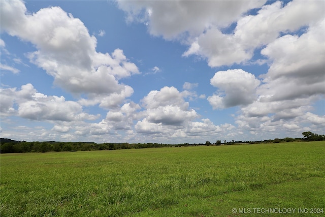 view of local wilderness with a rural view