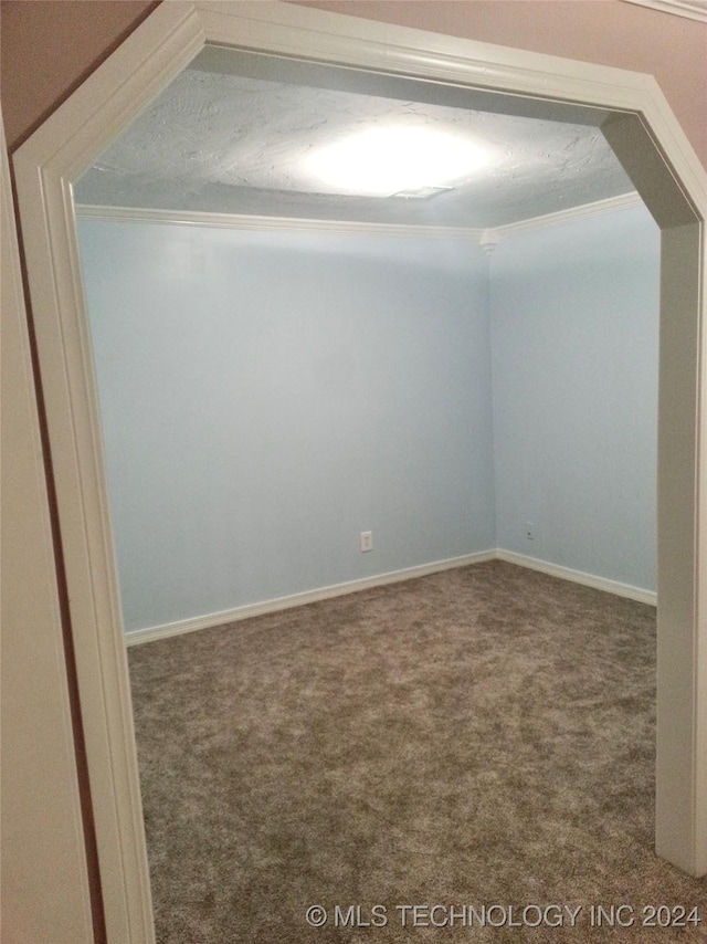 carpeted spare room with crown molding