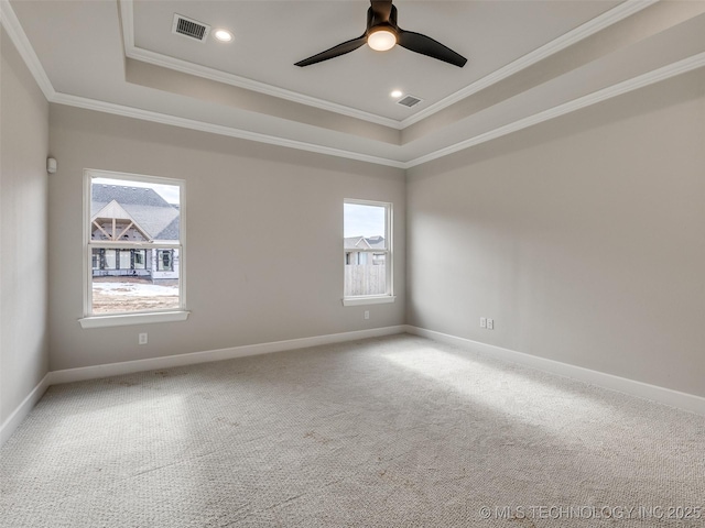 spare room featuring crown molding, carpet, and a raised ceiling