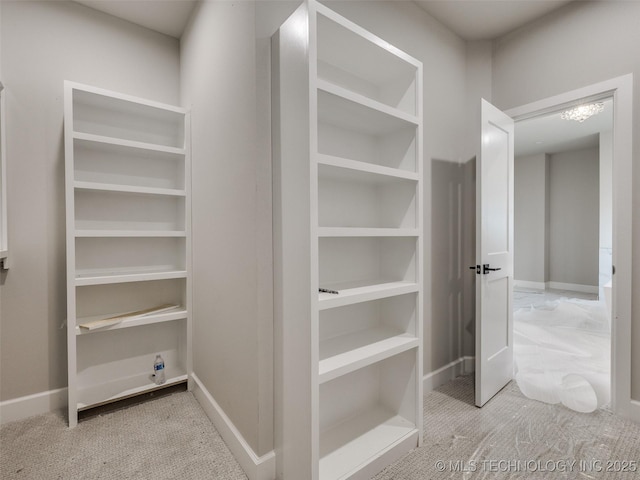 spacious closet featuring light carpet