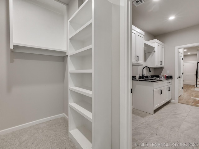 spacious closet with light colored carpet and sink