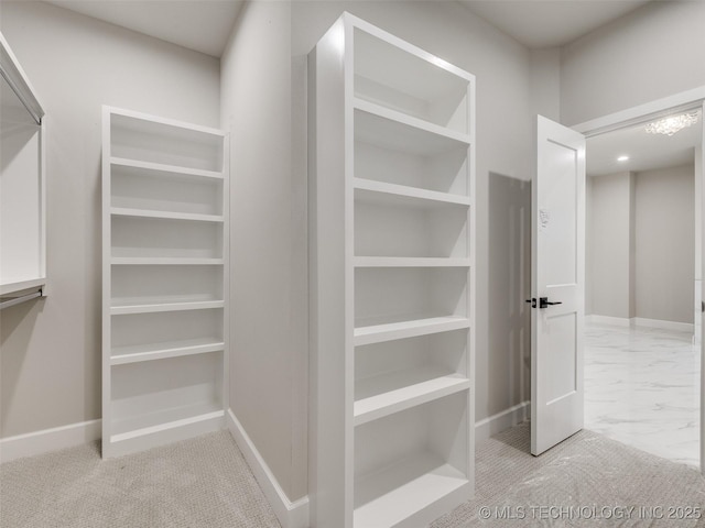 view of walk in closet