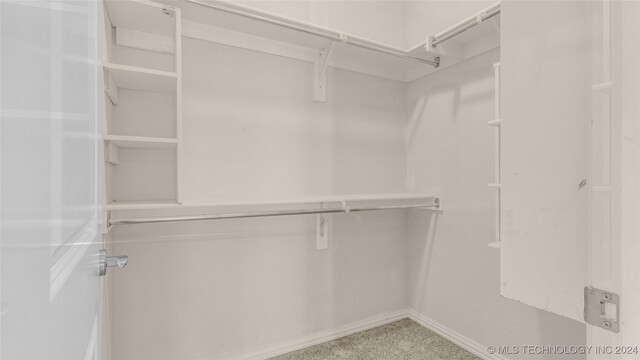 spacious closet with carpet floors