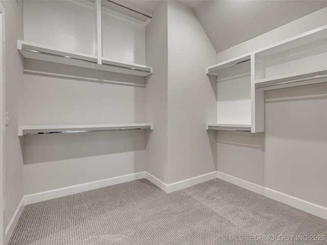 spacious closet featuring carpet