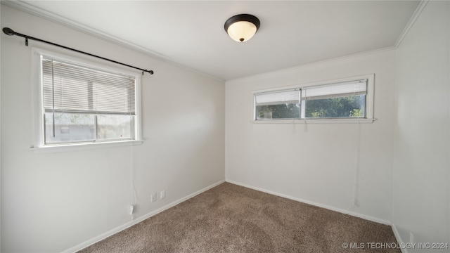 empty room with crown molding and carpet floors