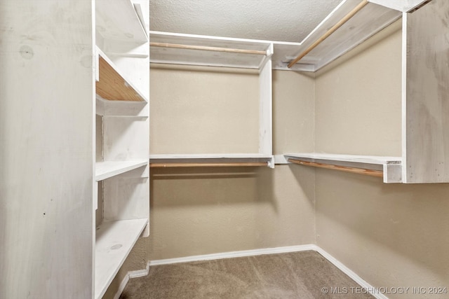 walk in closet featuring carpet flooring