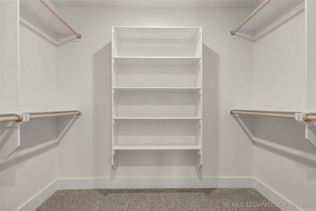 walk in closet featuring carpet