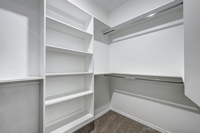 walk in closet featuring carpet floors