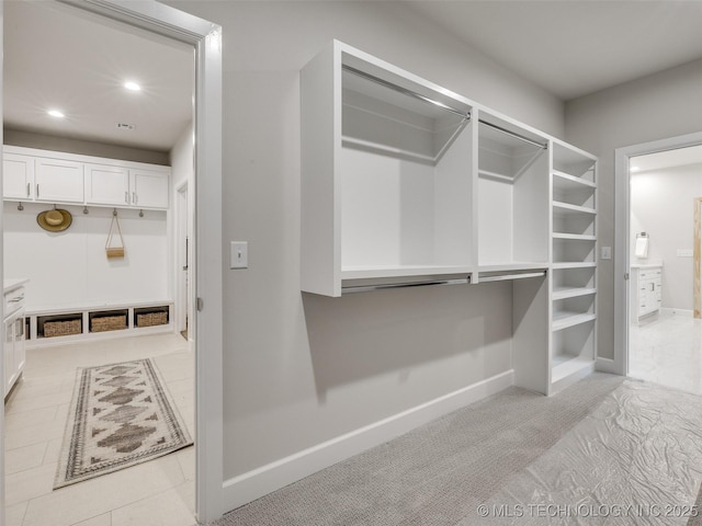 walk in closet with light colored carpet