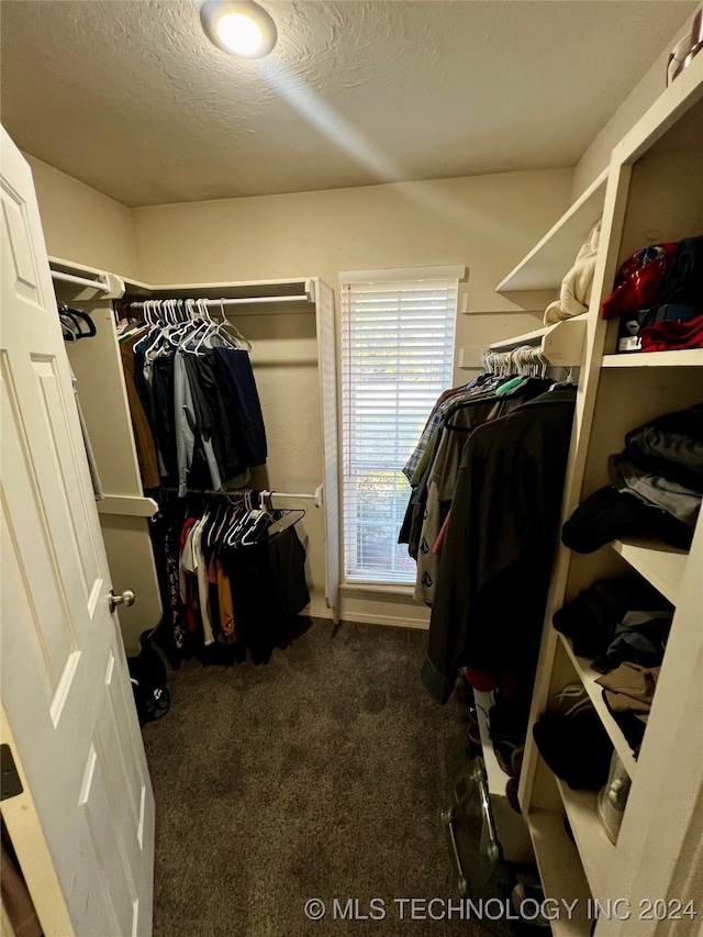 spacious closet with dark colored carpet