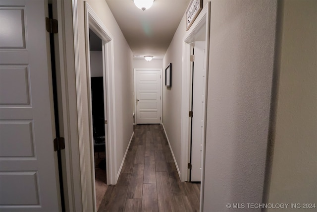 hall featuring dark hardwood / wood-style floors