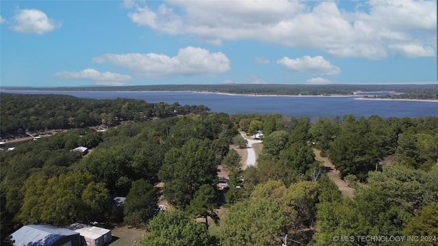 birds eye view of property with a water view and a view of trees