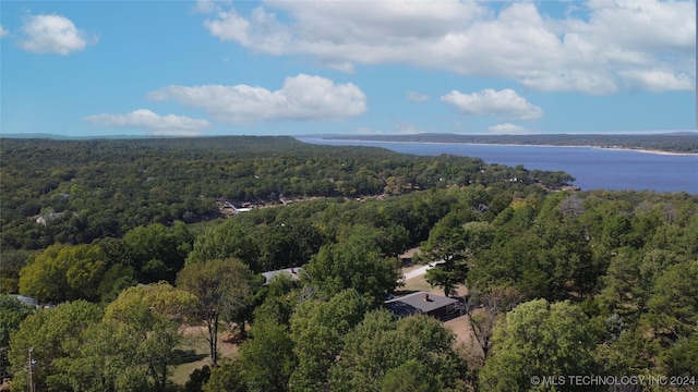 bird's eye view with a water view and a wooded view