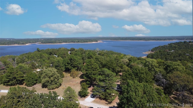 bird's eye view featuring a water view and a wooded view