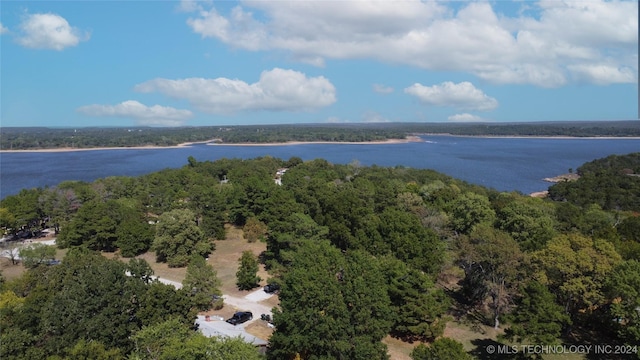 bird's eye view with a water view and a wooded view