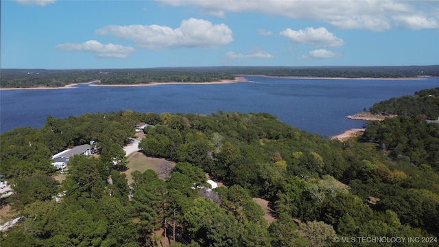 bird's eye view featuring a water view and a view of trees