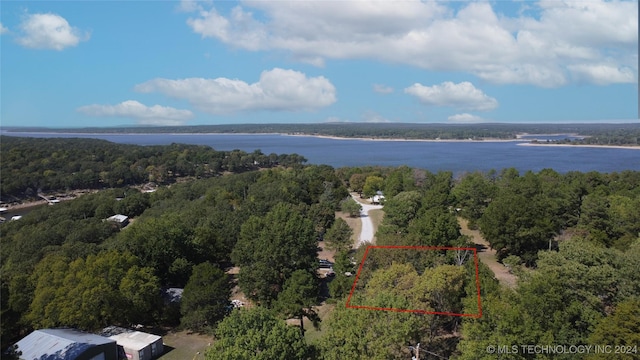 bird's eye view featuring a water view and a view of trees