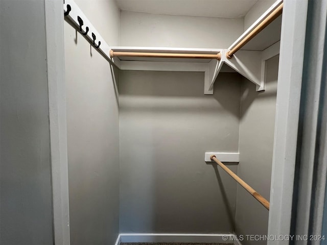 view of spacious closet