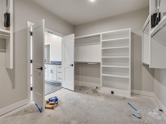 view of spacious closet