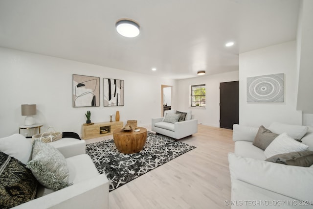 living room with wood-type flooring