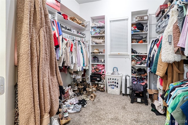 walk in closet with carpet