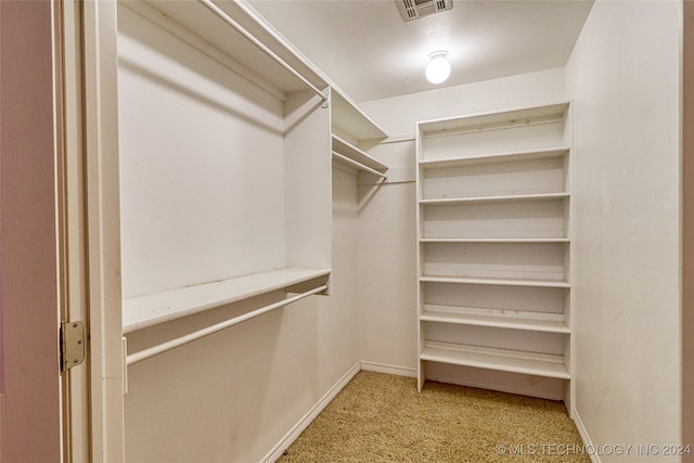 spacious closet with carpet flooring