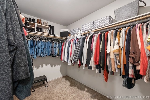 spacious closet featuring carpet floors